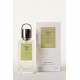 VERBENIS  EdP 100ml